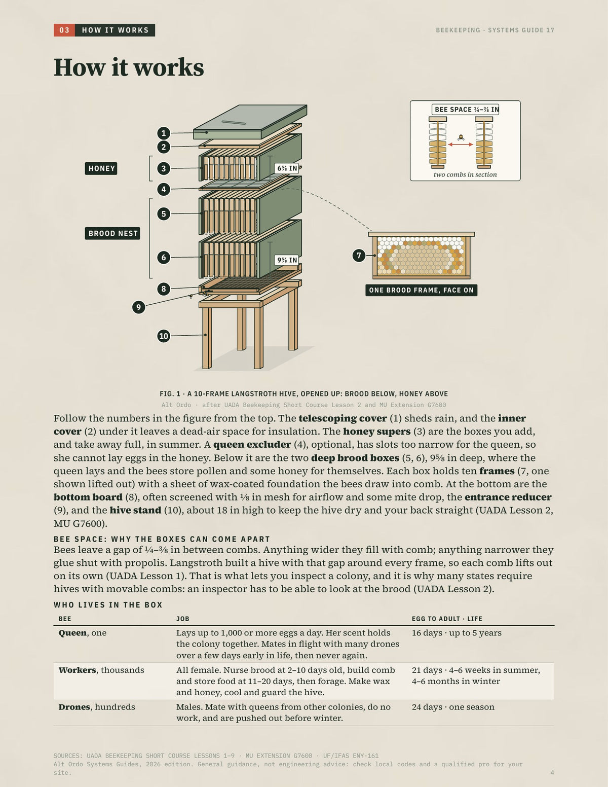 Beekeeping: Honey, wax and pollination · Alt Ordo Systems Guide: inside pages
