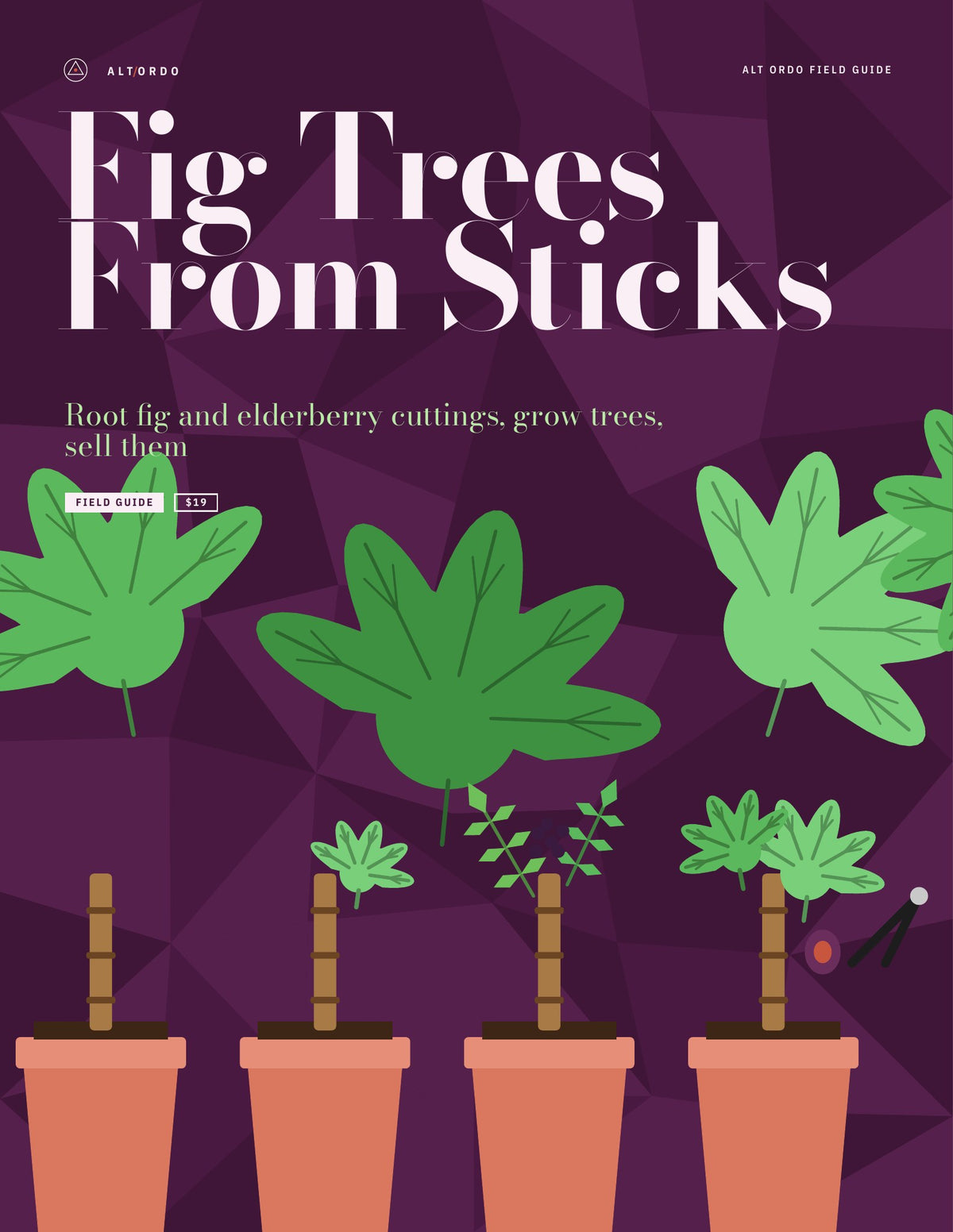 Fig Trees From Sticks: Root fig and elderberry cuttings, grow trees, sell them · Alt Ordo Systems Guide: cover