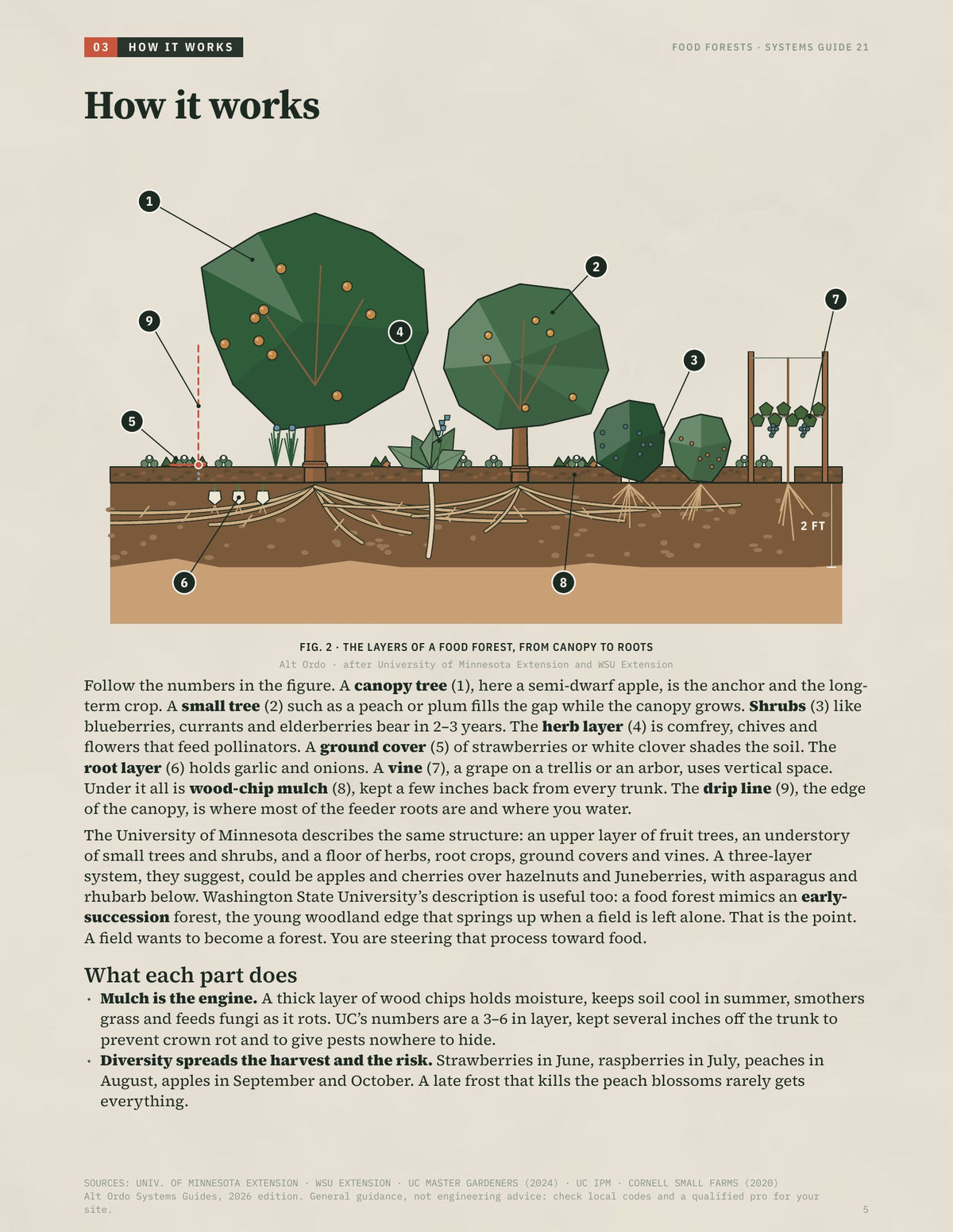 Food forests: Fruit guilds that feed you for decades · Alt Ordo Systems Guide: inside pages